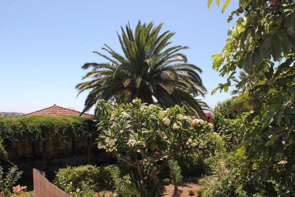 Casa Rural Anton Piche Granadilla De Abona Exterior foto