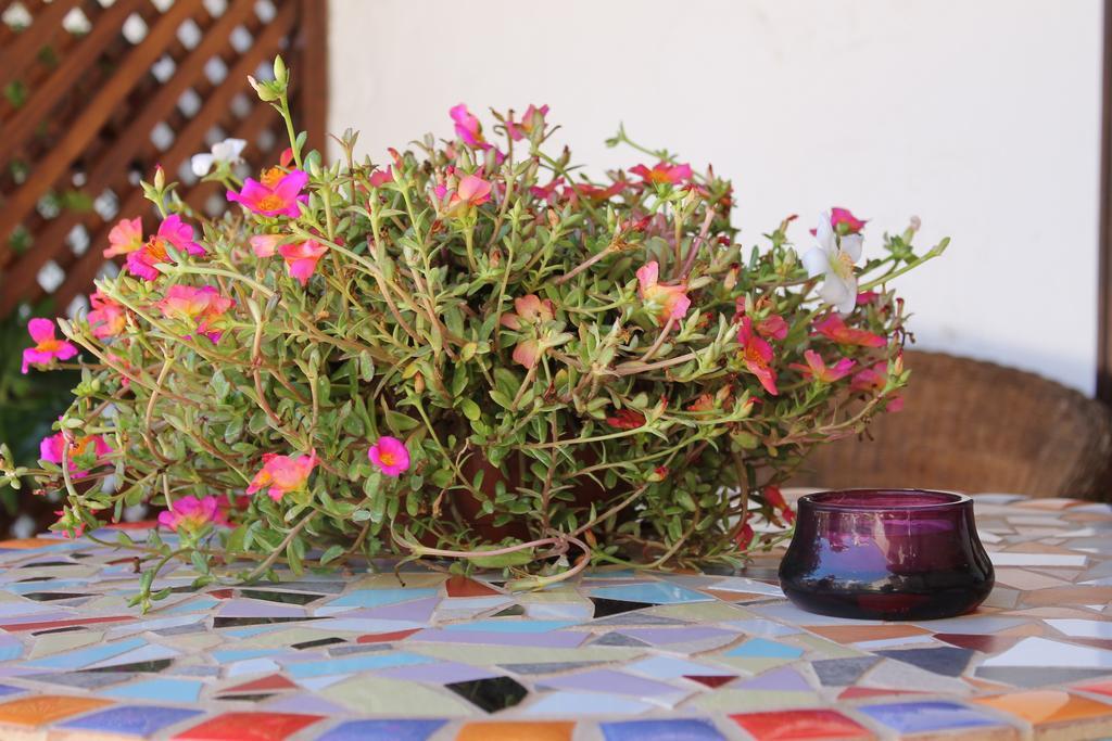 Casa Rural Anton Piche Granadilla De Abona Exterior foto