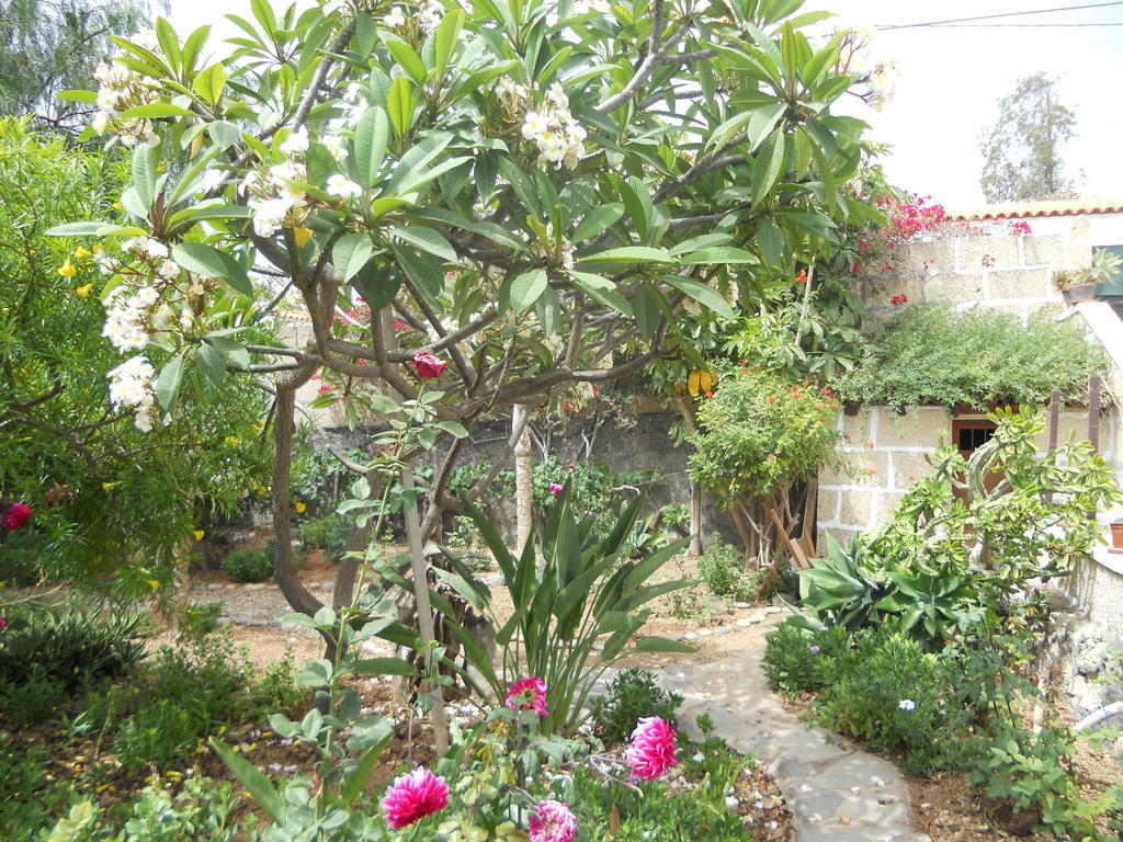 Casa Rural Anton Piche Granadilla De Abona Exterior foto
