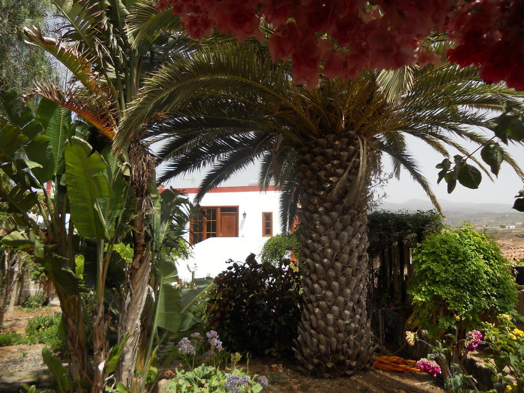 Casa Rural Anton Piche Granadilla De Abona Exterior foto